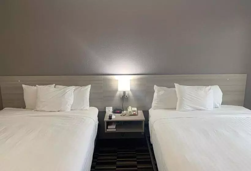 スタンダードルーム, Microtel Inn By Wyndham Charlotte Airport