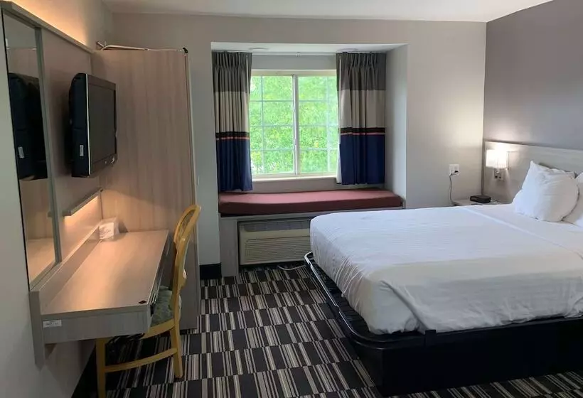 身障者適用スタンダードルーム, Microtel Inn By Wyndham Charlotte Airport