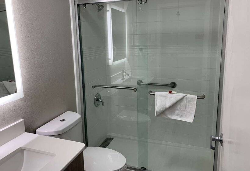 Люкс, Microtel Inn By Wyndham Charlotte Airport