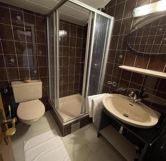 带1个卧室的公寓, Arlbergsun