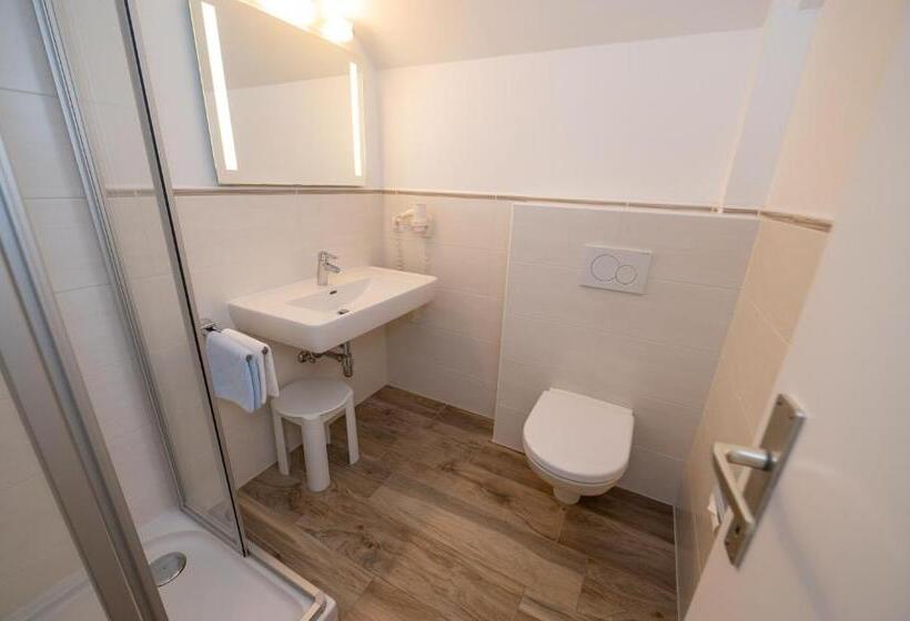 חדר סטנדרט יחיד, Pension & Apartments Ertl