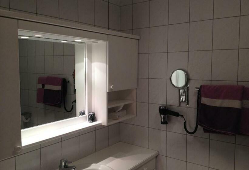 اتاق استاندارد با بالکن, Pension Seerose