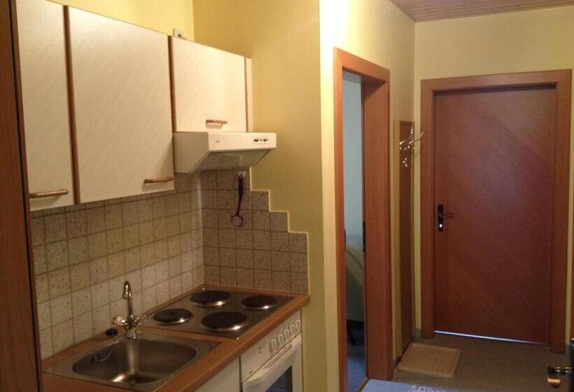 1 Bedroom Apartment Lake View, Pension Seerose