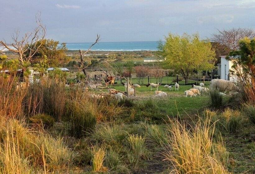 침실 1개 주택, Groeneweide