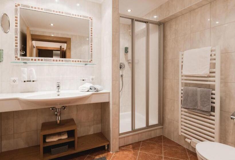 Номер Стандарт с Балконом, Alpina&more Apartments I Zimmer