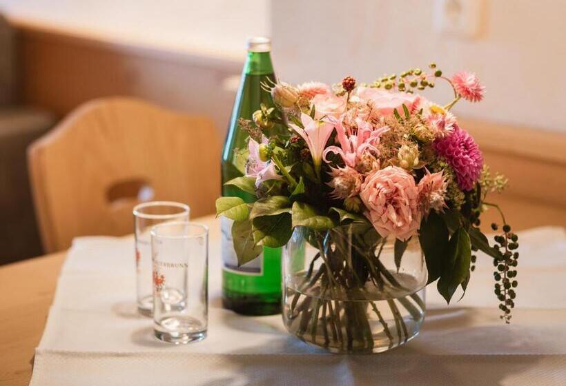 Апартаменты 1 Спальня с Балконом, Alpina&more Apartments I Zimmer