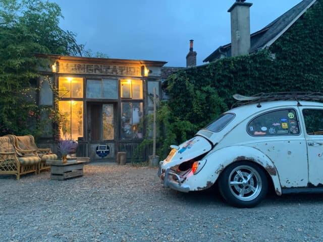 Номер Стандарт, Mimi La Sardine