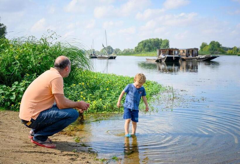 منزل غرفة نوم واحدة, La Boisselée