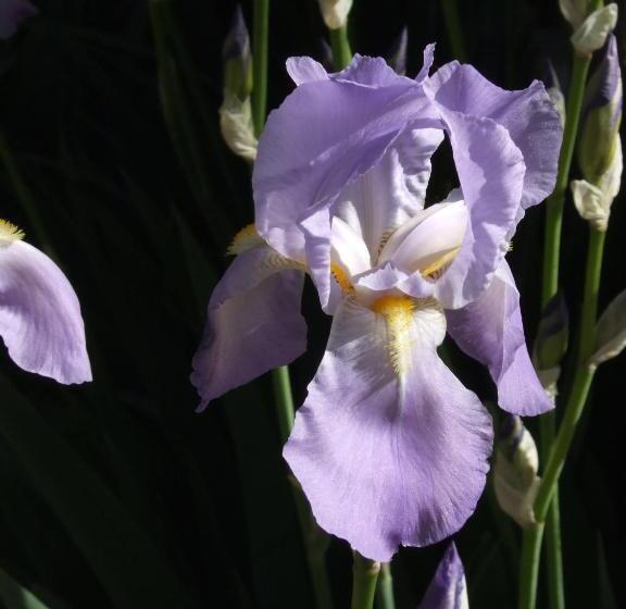 Номер Стандарт Трехместный, Le Moulin De Gauty