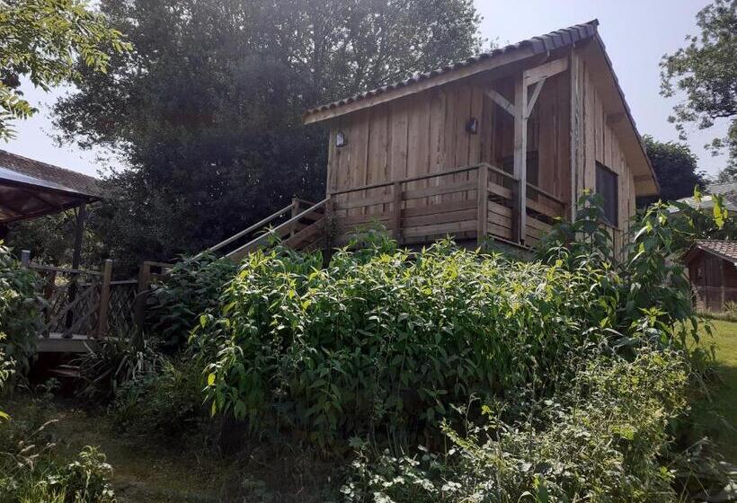 豪华房间, Les Mandarins