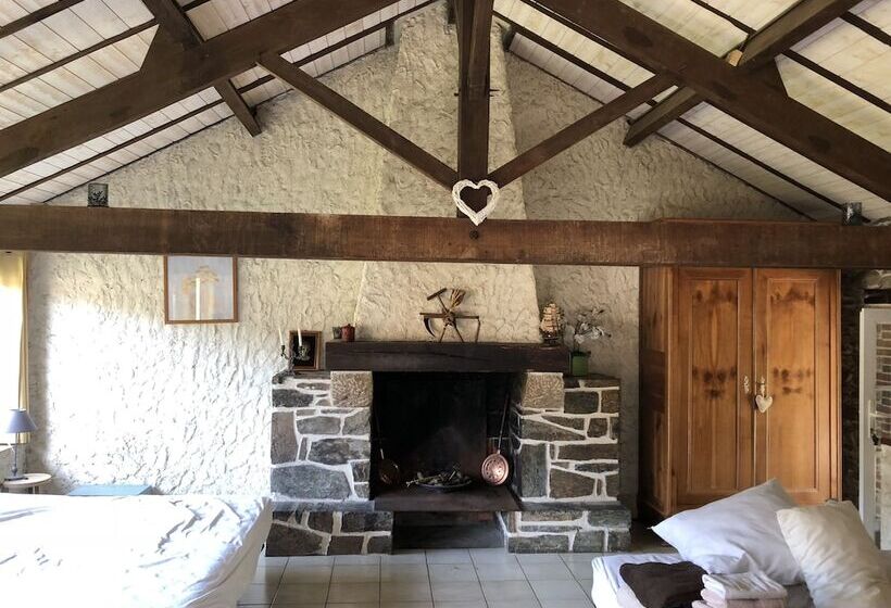 Family Suite, L'arbre D'alaïs