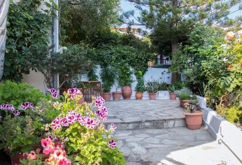 חדר סטנדרט לשלושה, Albertos House