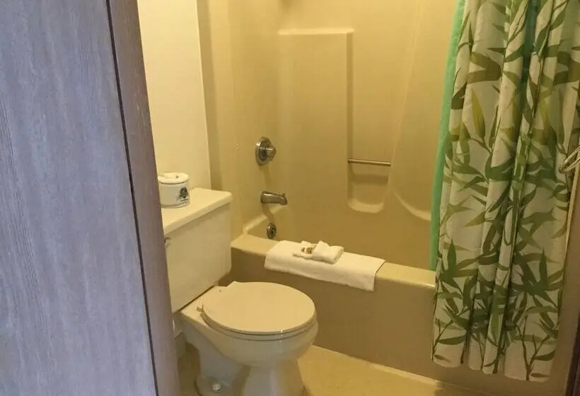 Standard-huone 2 Parivuodetta, Great Northern Motel