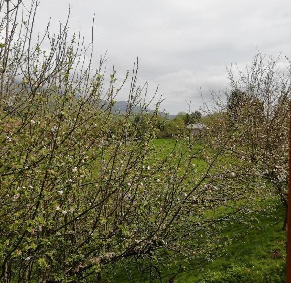 スタンダードルーム, Rural La Casa Nueva