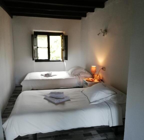 ファミリールーム, Rural La Casa Nueva