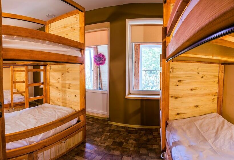 تختخواب در اتاق مشترک, Hostel Tarnopil