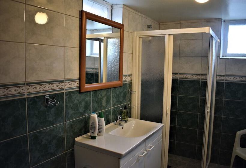 חדר סטנדרד יחיד חדר אמבטיה משותף, Torups Gastgivaregard