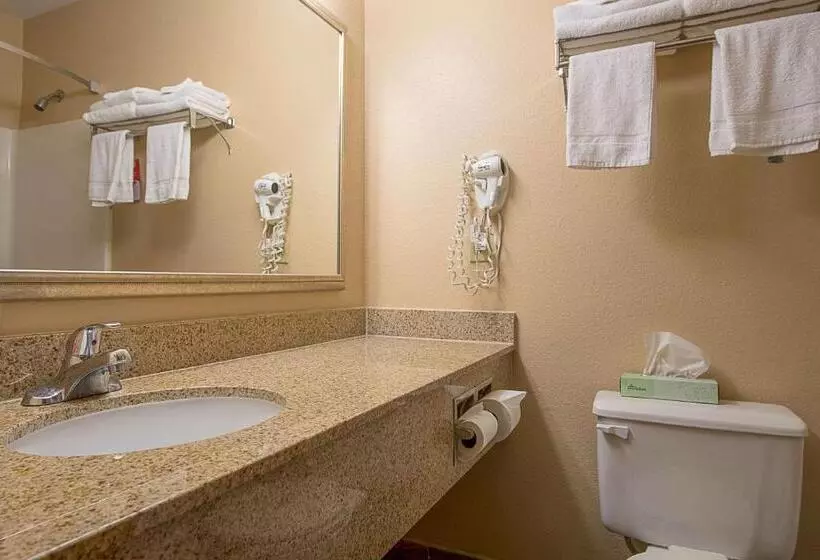 キングサイズベッドのスタンダードルーム, Econo Lodge