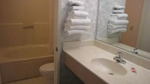 اتاق استاندارد با تخت بزرگ, Nisei Inn