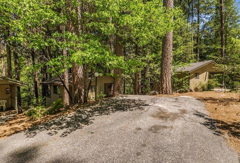 منزل غرفة نوم واحدة, Northern Queen Inn