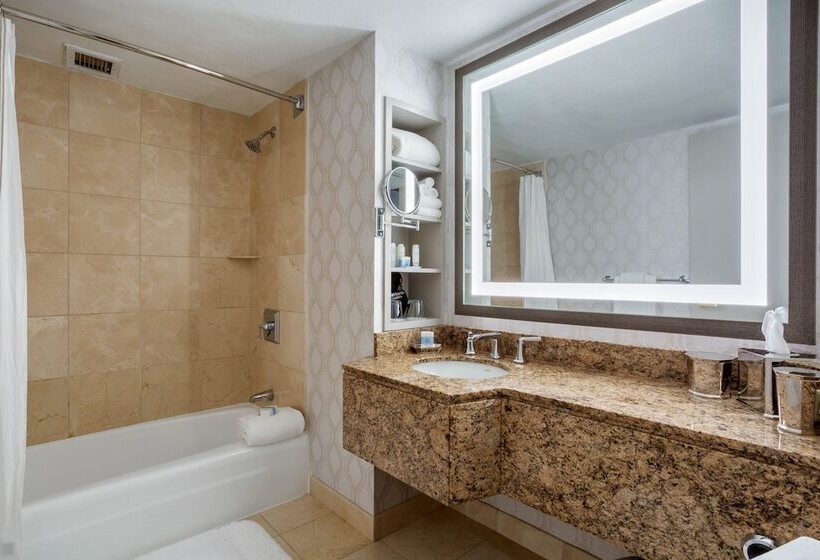 سوئیت با تخت بزرگ, Omni New Haven Hotel At Yale