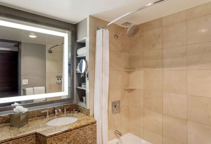 سوئیت با تخت بزرگ, Omni New Haven Hotel At Yale