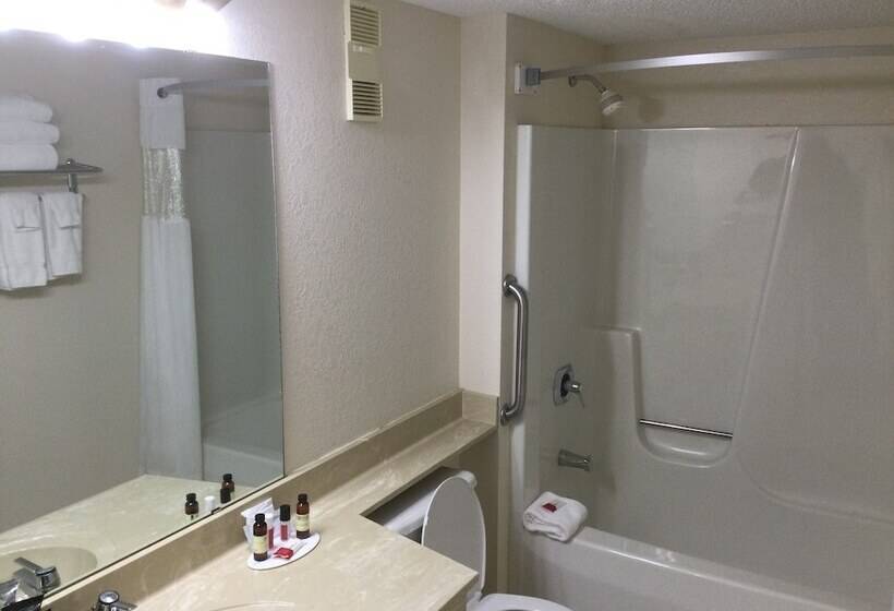 חדר סטנדרט שתי מיטות זוגיות, The Hotel Ojibway, Trademark Collection By Wyndham