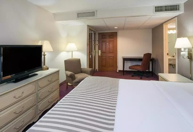 اتاق استاندارد با تخت بزرگ, The Hotel Ojibway, Trademark Collection By Wyndham
