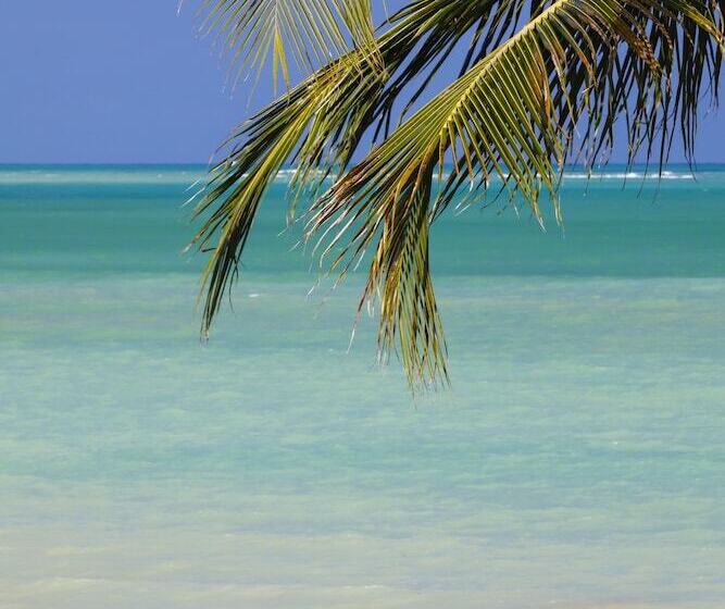 디럭스 스위트 바다 전망, Pousada Rota Ecologica