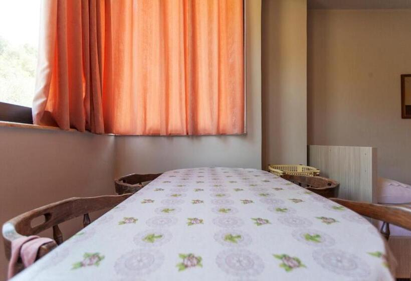 דירת חדר, Toni Retzo Rooms