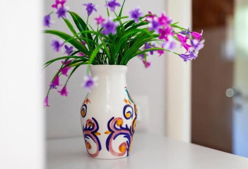 דירת חדר, Toni Retzo Rooms