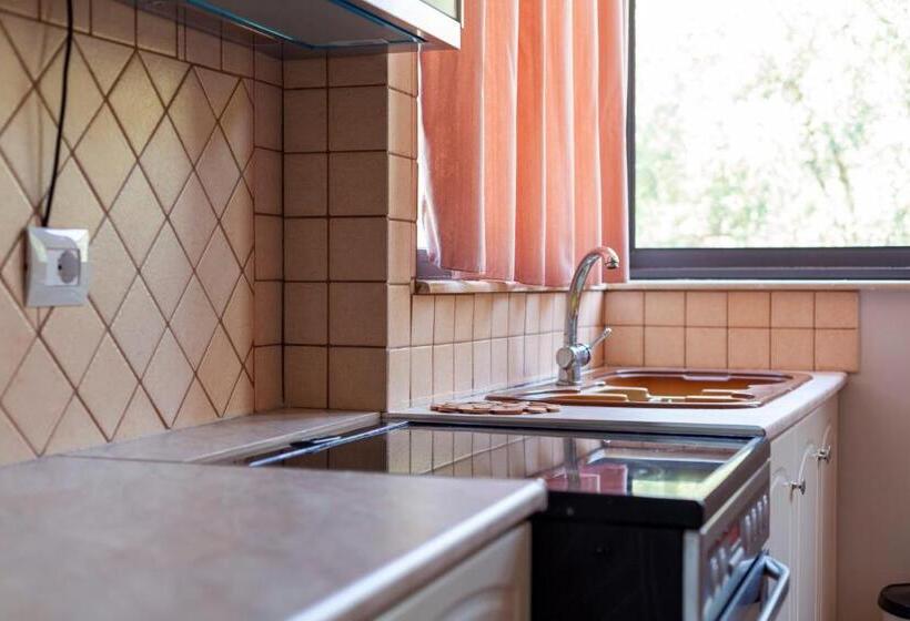 דירת חדר, Toni Retzo Rooms