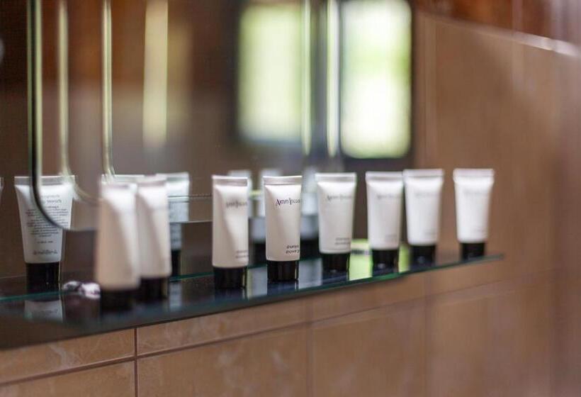 דירת חדר, Toni Retzo Rooms