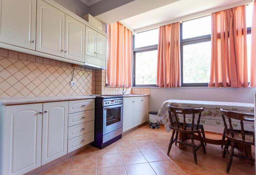 דירת חדר, Toni Retzo Rooms