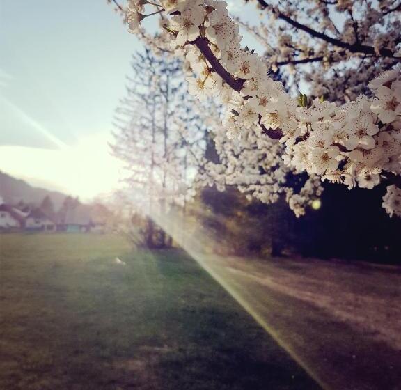 דירת חדר, Apartments And Rooms Milena