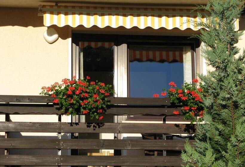 1 Bedroom Apartment Mountain View, Apartments And Rooms Milena