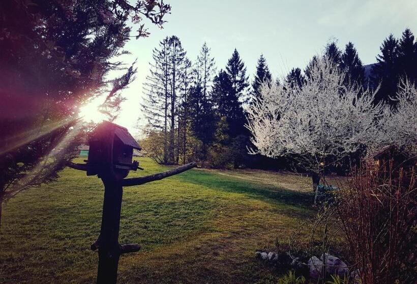 דירת חדר, Apartments And Rooms Milena