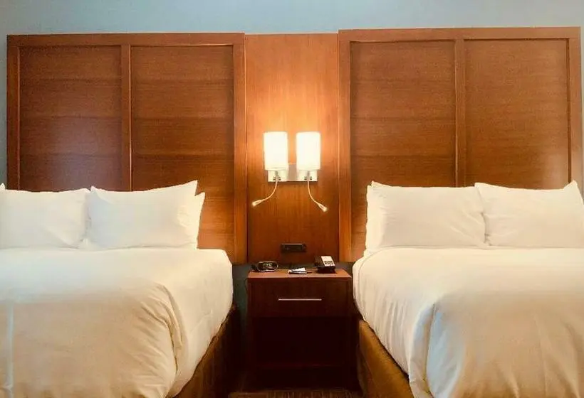 身障者適用スタンダードルーム, Comfort Suites