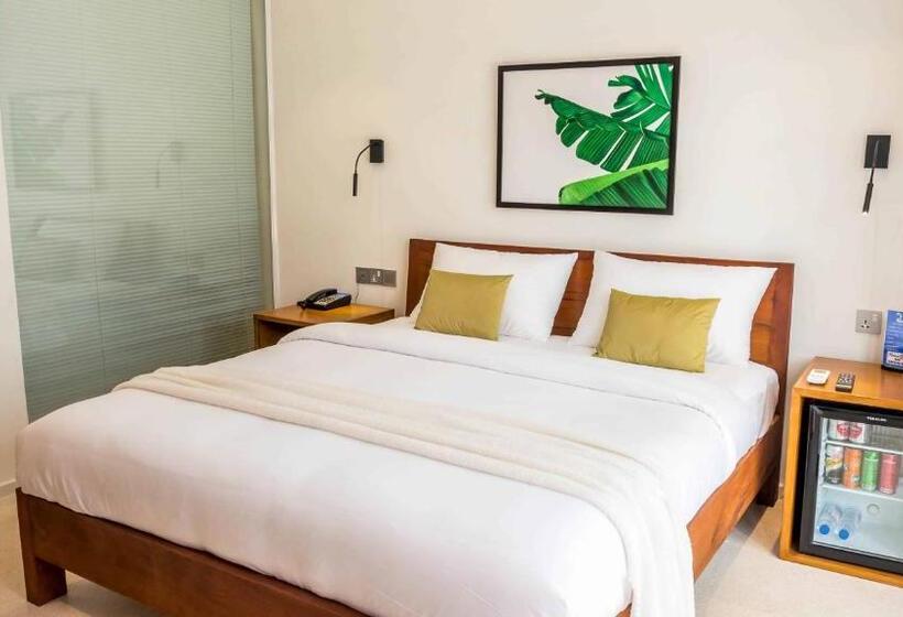 غرفة قياسية, The B Resort