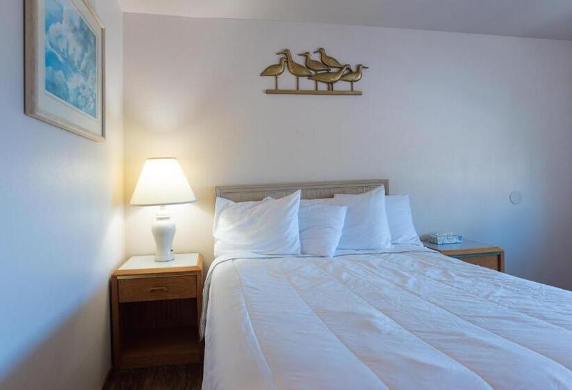 Delüks Oda, Terimore Lodging By The Sea