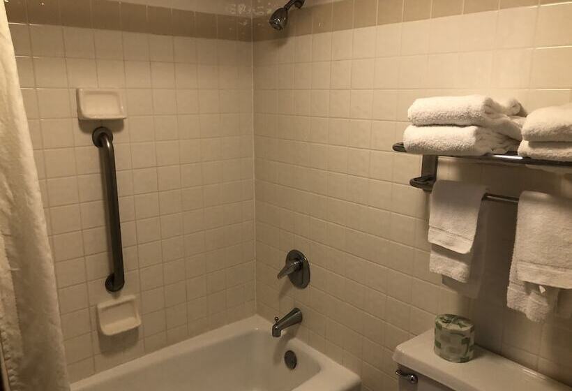 غرفه قياسيه سريرين مزدوجين, Americas Best Value Inn   Collinsville / St. Louis