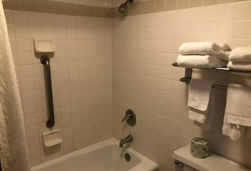 ２ダブルベッドのスタンダードルーム, Americas Best Value Inn   Collinsville / St. Louis