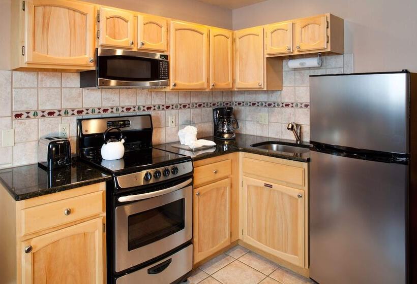 חדר סטודיו סטנדרד, Legacy Vacation Resorts  Steamboat Springs Hilltop