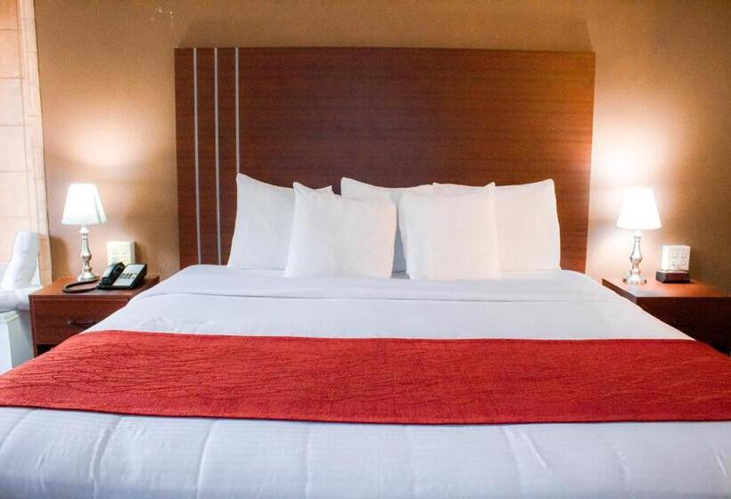 Номер Стандарт Кровать Кинг Адаптированный для Инвалидов, Victorian Inn & Suites York
