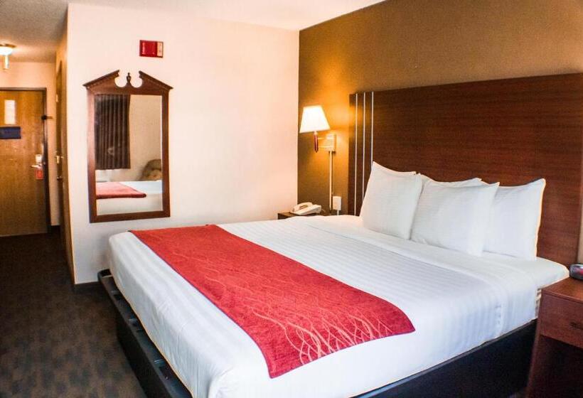 身障者適用キングサイズベッドルーム, Victorian Inn & Suites York