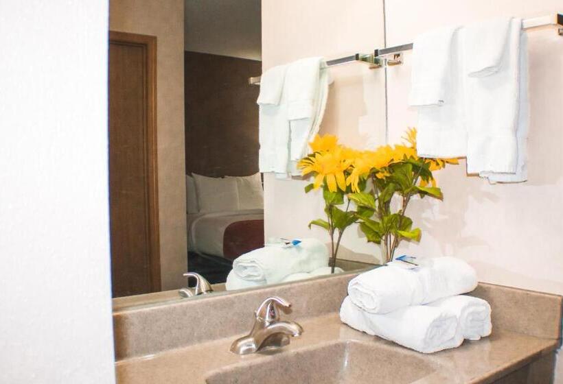 Люкс, Victorian Inn & Suites York
