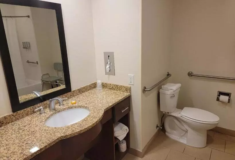 身障者適用スイートルーム, Penn Wells Lodge