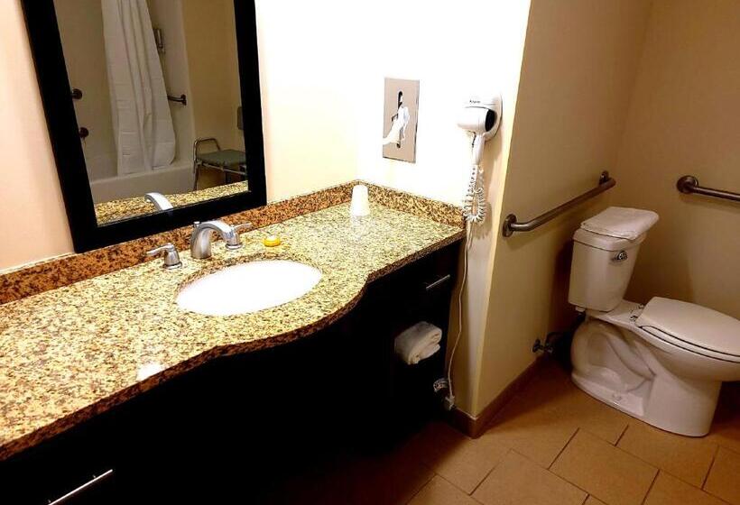 适合残疾人士使用的套间, Penn Wells Lodge