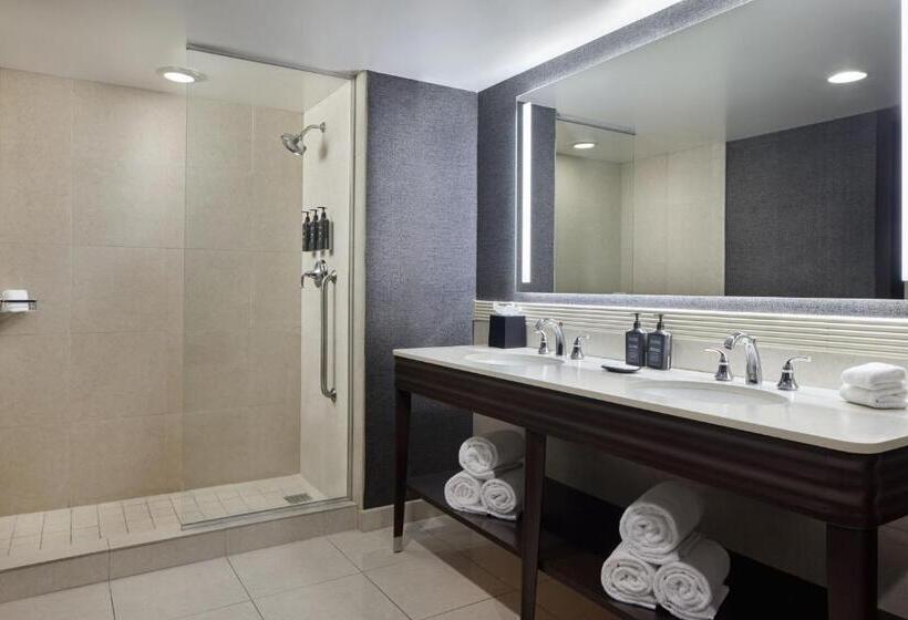 도시전망 디럭스룸 킹침대, Sheraton Valley Forge King Of Prussia