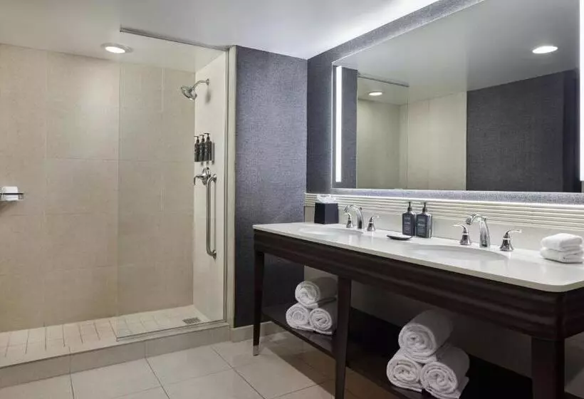 キングサイズベッド、シティビューデラックスルーム, Sheraton Valley Forge King Of Prussia